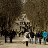 Invierno en El Retiro